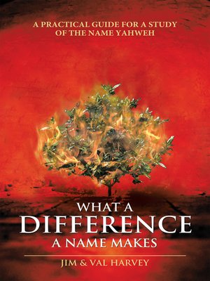 cover image of What a Difference a Name Makes